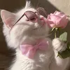 maomao_2.0.0