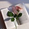 menna.ahmad002