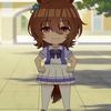 .senqo