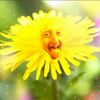 gunnerbob2024