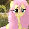 fluttershy_638