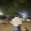 marixeeu_0