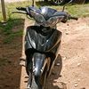 dodii518