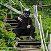 testz239