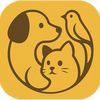 Team Pet