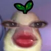 aj_ganda3