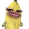 riskypdlh