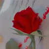 barxagyan242