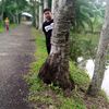 md.boshir135
