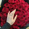 sirine.567