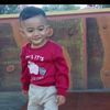 m.labib.h