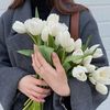 zeynalova_20_z