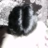 anup_145