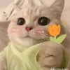 daclitan_sofie