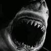 user11036184294161