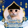 ppkucingramadhan114