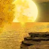 trnhhongngha6