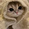 pikachu.aov0