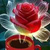 user9757962061944