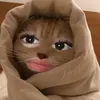 exy_nx