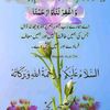 hameed.anwar07