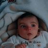 abo.hana227