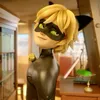 cot.noir2