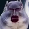 egoron1ilne