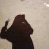 its.me.rabii7