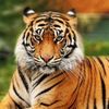 christopher.bryan55