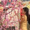 tinh_phai217