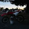 juniorthurman1