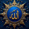 hamza.rajput1904