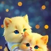 user8865613050216