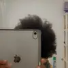 glxsyy.shamz