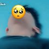 uabdullah1122