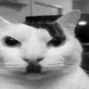 adolf_kitler_01
