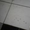 user87933880614907a