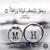 mn20hn3