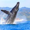 toursenpuertovallarta.30