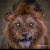 mo7amedalbld