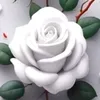 enchanté