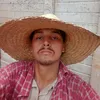 reismapogos