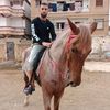 rezig.nidal