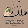 mohamad.attiaa