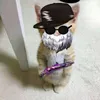 luan_zp