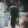 62_longankk