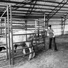 rodeo545