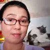 mai.ng7279