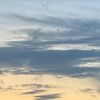 random_0827
